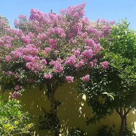 דירה Zoky ספליט