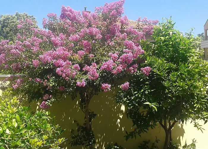 Apartment Zoky Split